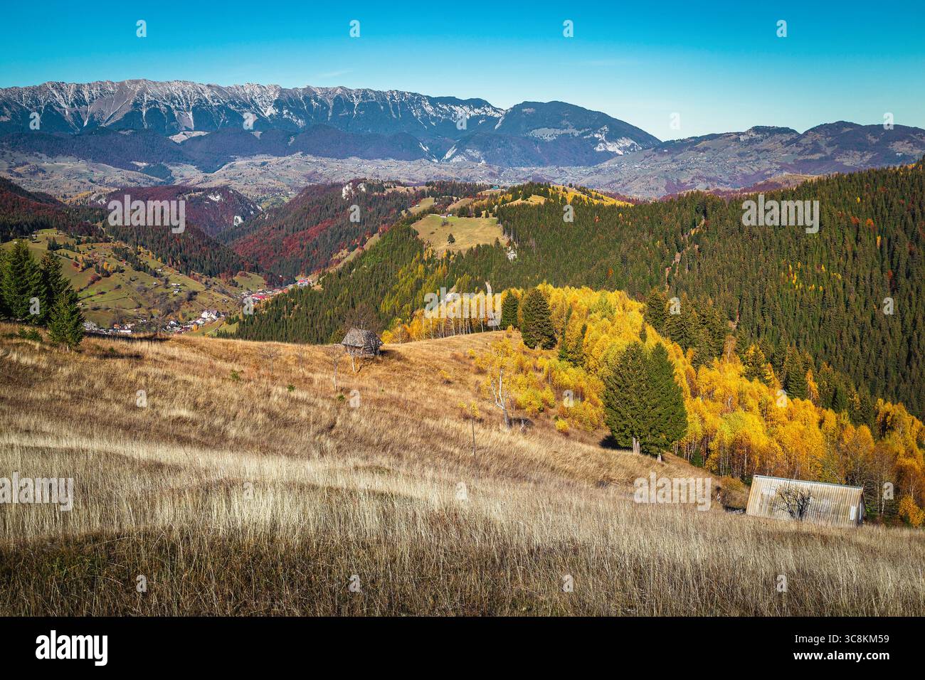 Splendido paesaggio rurale autunnale e piccolo villaggio nella valle profonda. Vecchie capanne di legno e variopinte betulle sul pendio, Carpazi, Transilvania, Foto Stock