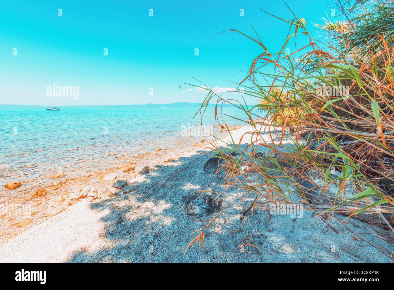 Acque turchesi cristalline in una tranquilla spiaggia mediterranea con piante secche in primo piano e una barca in lontananza. Giorno estivo luminoso con vista panoramica Foto Stock