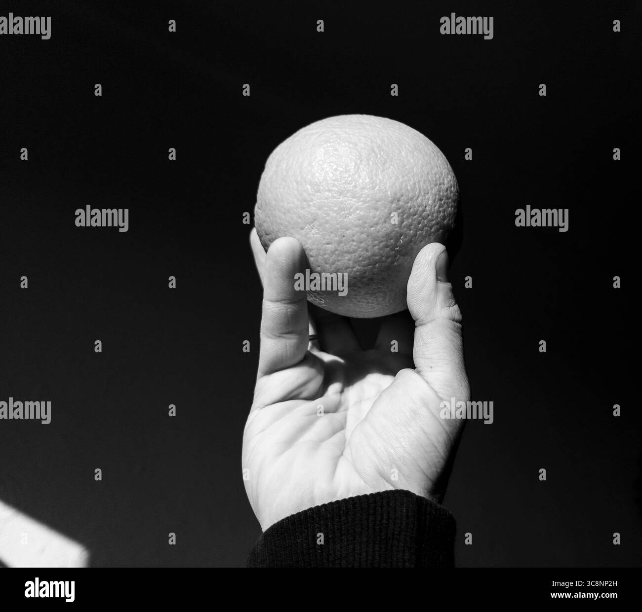 Mano che tiene in mano un arancione illuminato da un raggio di luce con uno sfondo scuro, creando un'immagine in bianco e nero con un forte contrasto Foto Stock