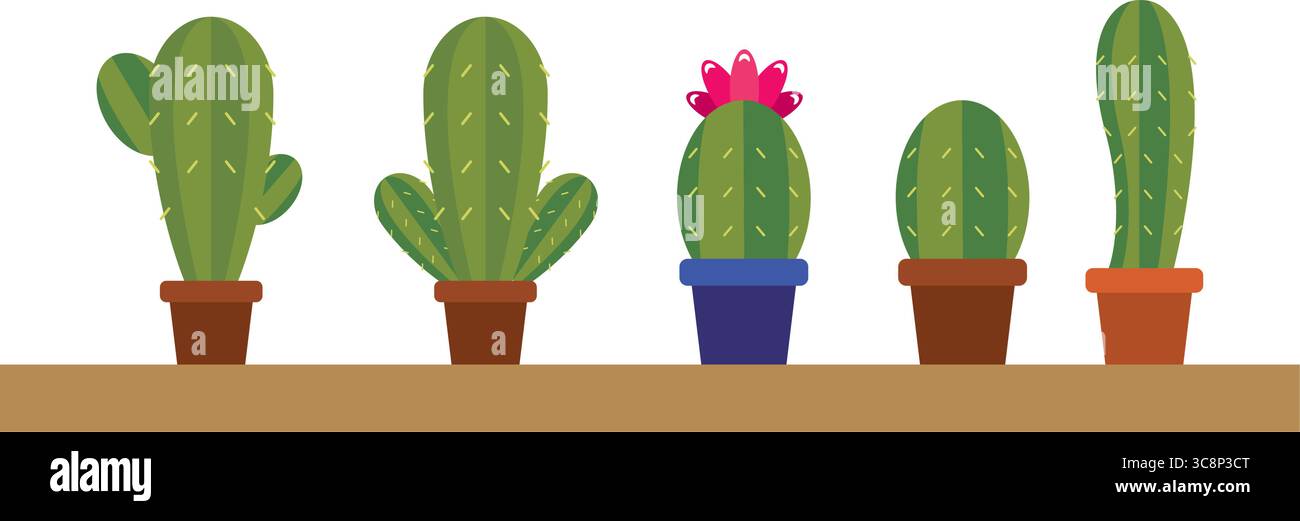 Collezione di cinque carini cactus. Vettore Illustrazione Vettoriale