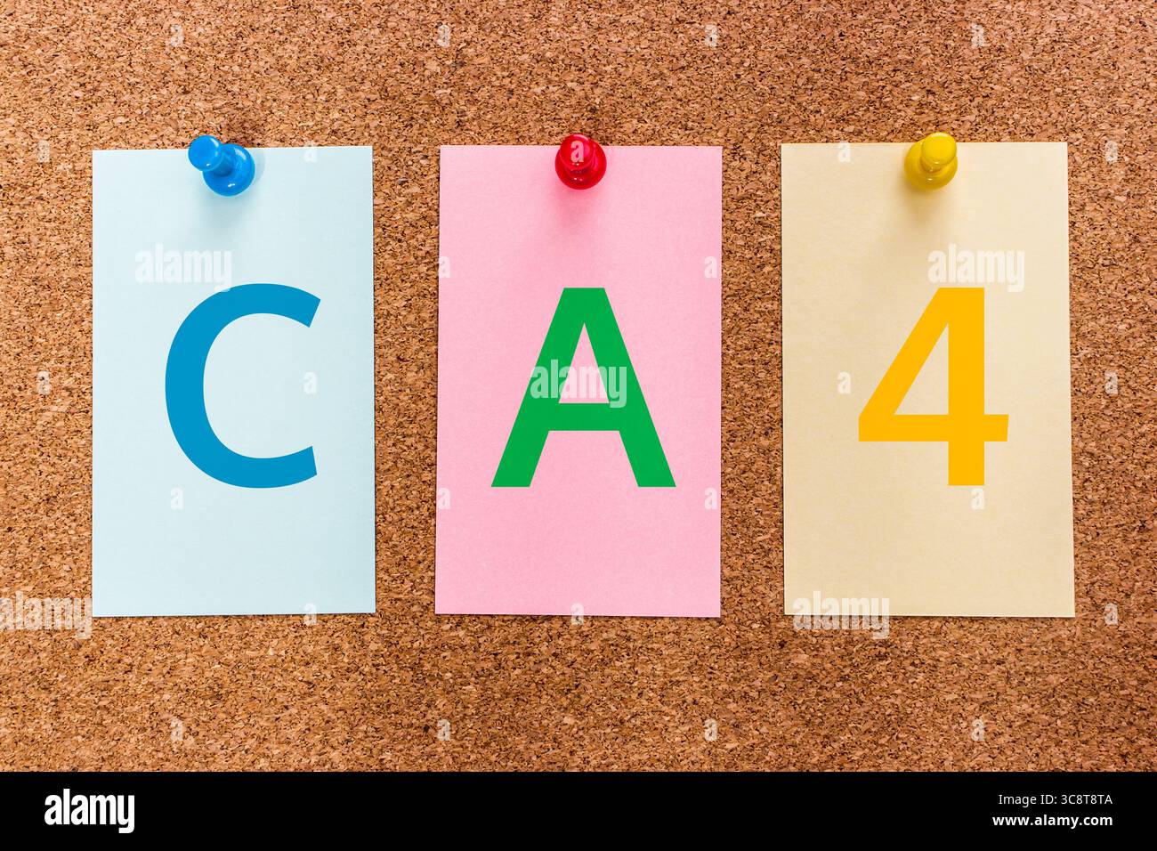 Parola chiave concettuale a 3 lettere CA4 su adesivi multicolore attaccati a un bordo di sughero. Foto Stock