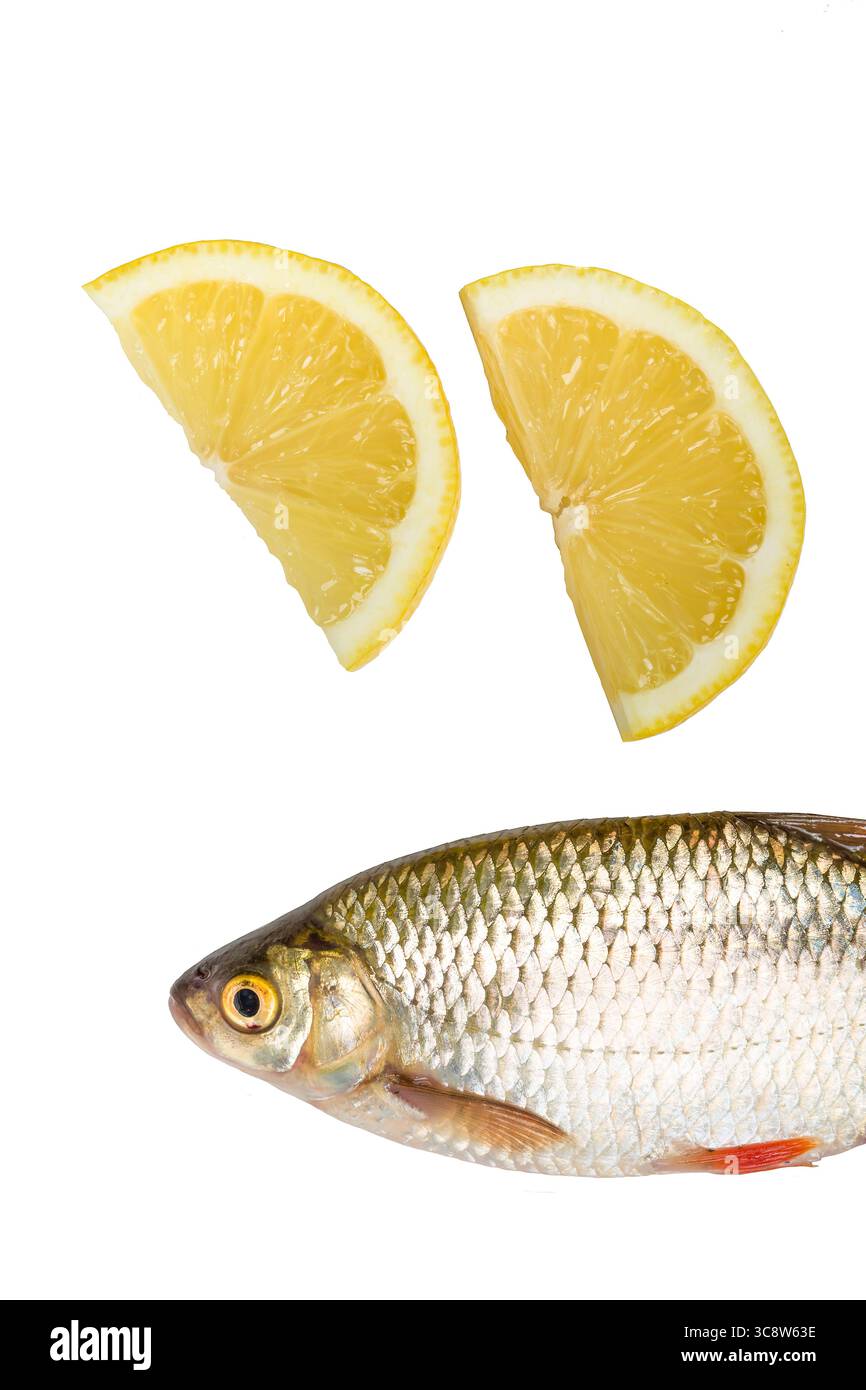 Pesce fresco con fette di limone isolate su fondo bianco Foto Stock