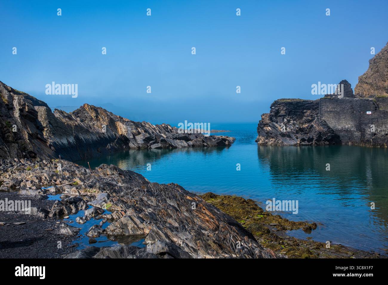 Blue Lagoon presso Abereiddy Pembrokeshire West Wales UK Foto Stock
