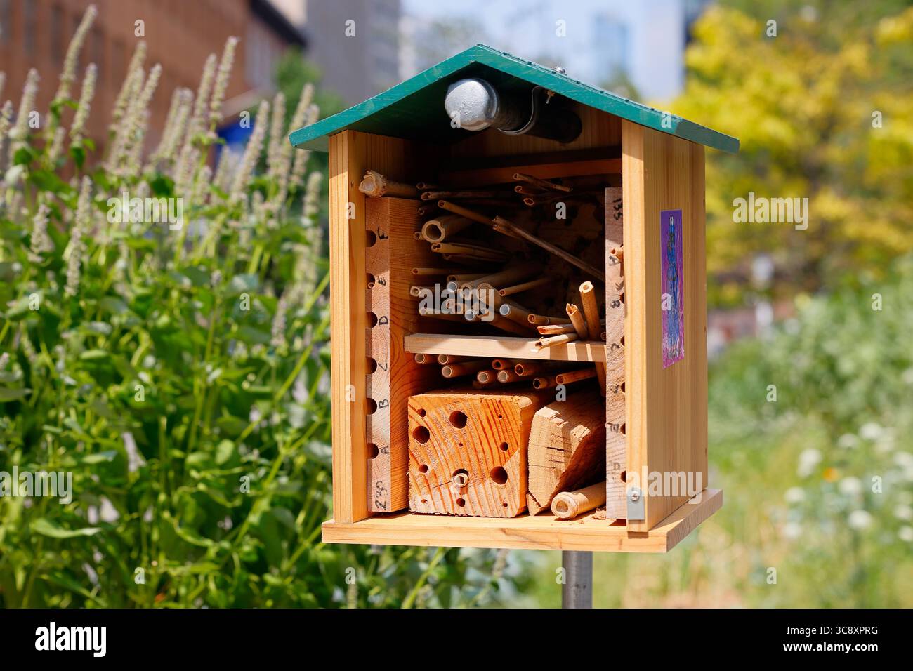 Una scatola di nidificazione delle api solitaria, o Bee hotel, piena di canne vuote, tubi e fori. Foto Stock