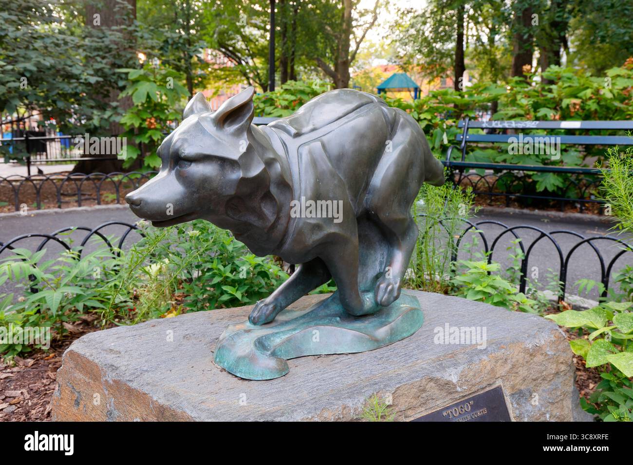 Togo, statua di bronzo di un cane da slitta che ha guidato una squadra in Alaska in condizioni di bufera fornendo siero di difterite durante un'epidemia. Foto Stock