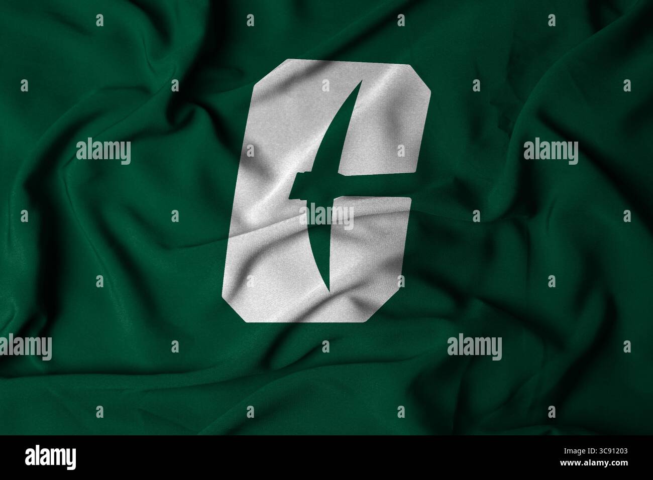 Pringsewu, Lampung; 6 agosto 2025; logo della squadra di football americano Charlotte 49ers con tessuto ondulato testurizzato Foto Stock