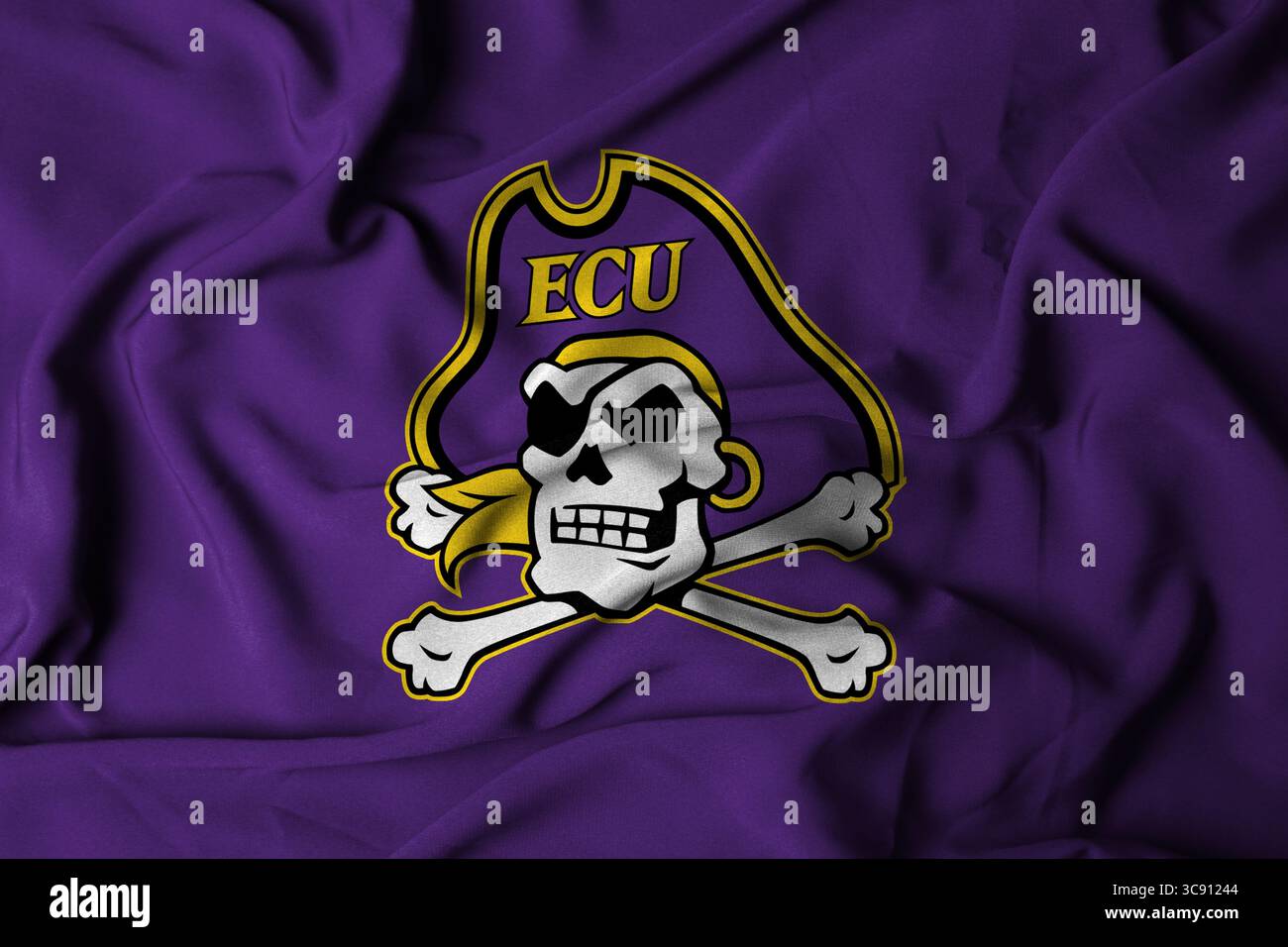 Pringsewu, Lampung; 6 agosto 2025; logo della squadra di football americano East Carolina Pirates con tessuto ondulato testurizzato Foto Stock