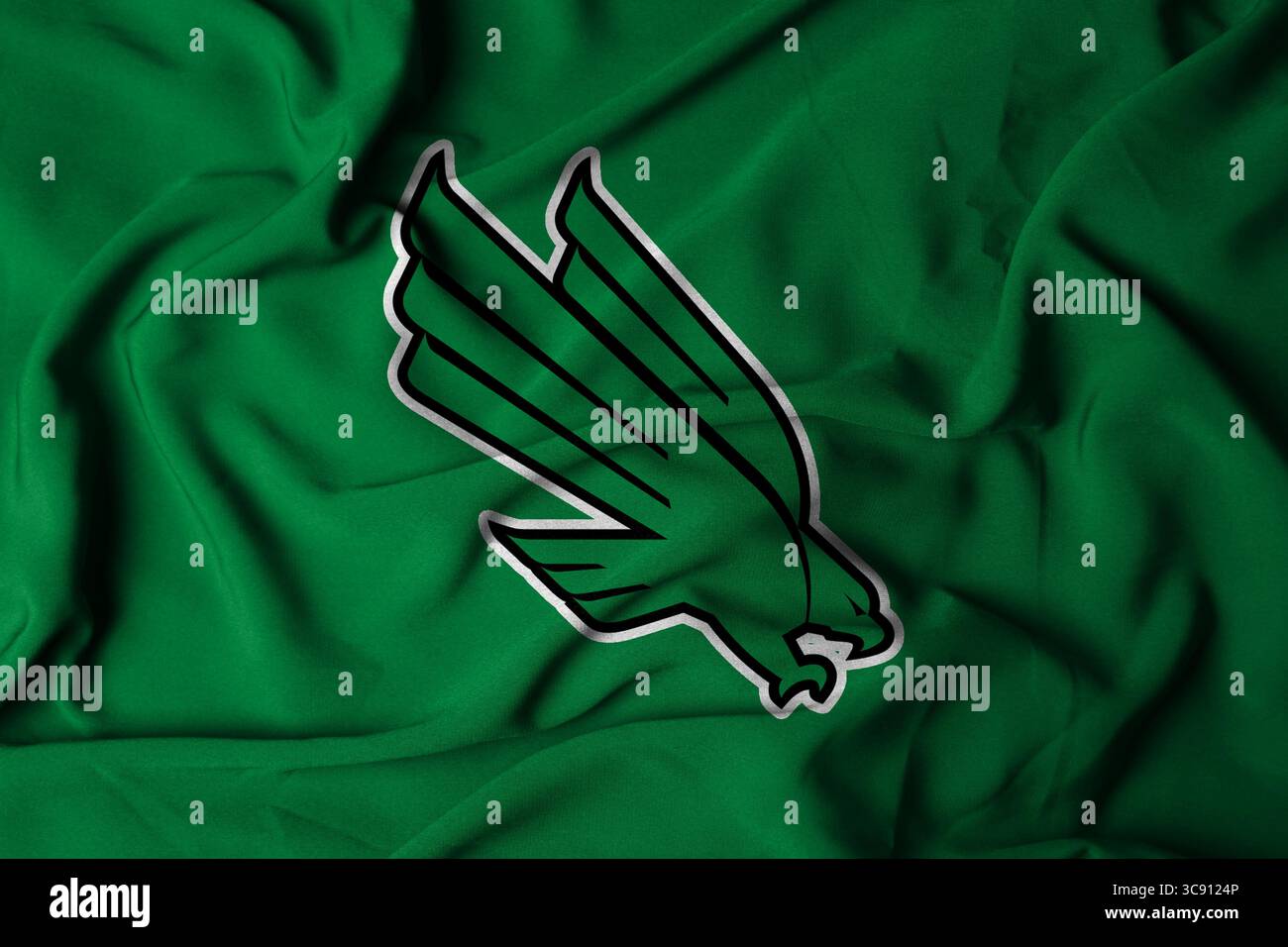 Pringsewu, Lampung; 6 agosto 2025; il logo della squadra di football americano North Texas Mean Green con tessuto ondulato testurizzato Foto Stock