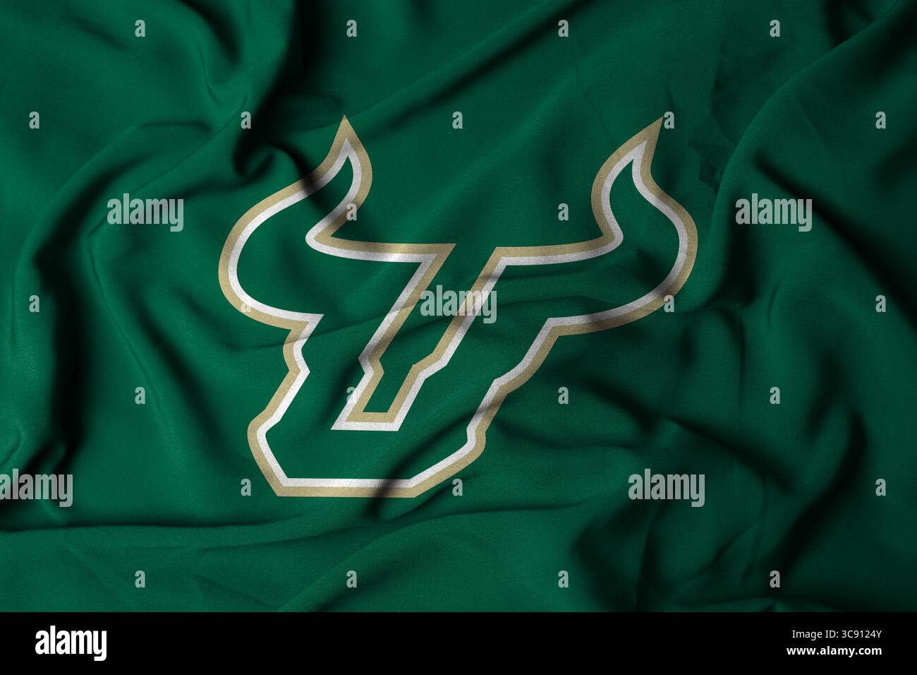 Pringsewu, Lampung; 6 agosto 2025; il logo della squadra di football americano South Florida Bulls con tessuto ondulato testurizzato Foto Stock