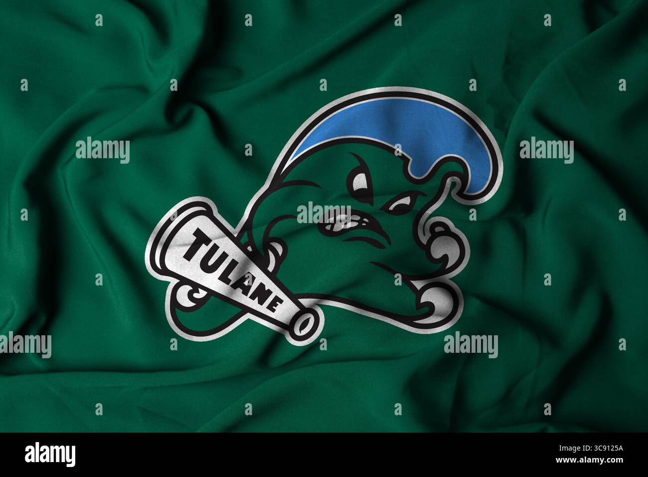 Pringsewu, Lampung; 6 agosto 2025; il logo della squadra di football americano Tulane Green Wave con tessuto ondulato testurizzato Foto Stock