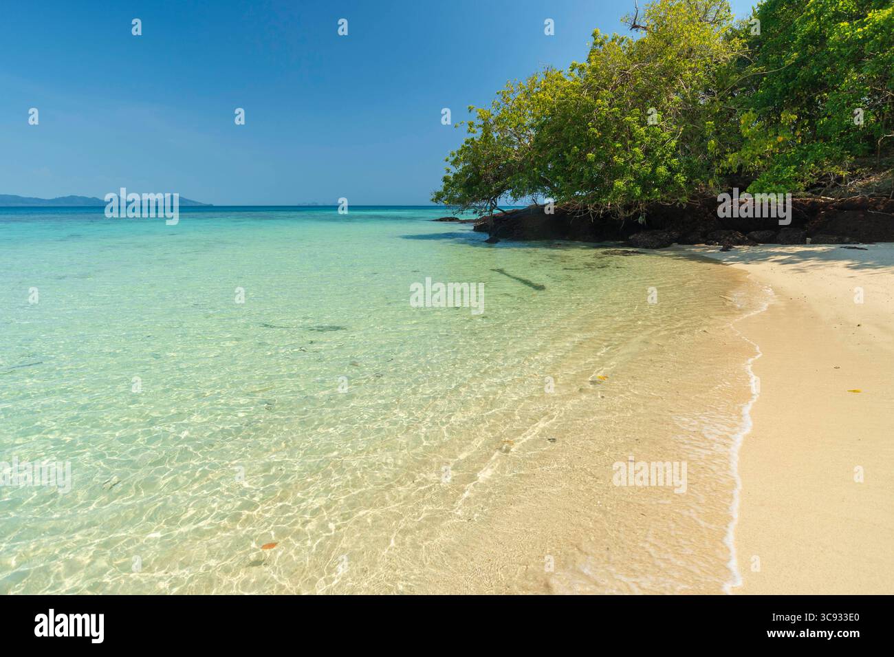 21 marzo 2019: Spiaggia tropicale. (Immagine di credito: © Sergio Pitamitz/VW Pics via ZUMA Wire) Foto Stock