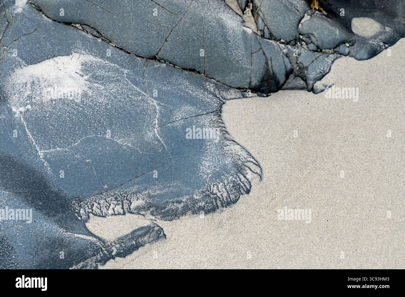 Dettagli di roccia e sabbia lungo una spiaggia del New England Foto Stock