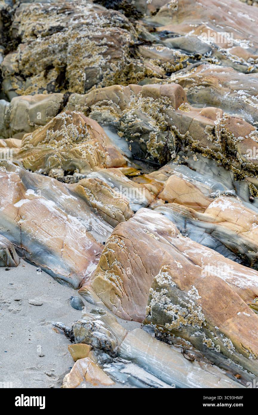 Dettagli di roccia e sabbia lungo una spiaggia del New England Foto Stock
