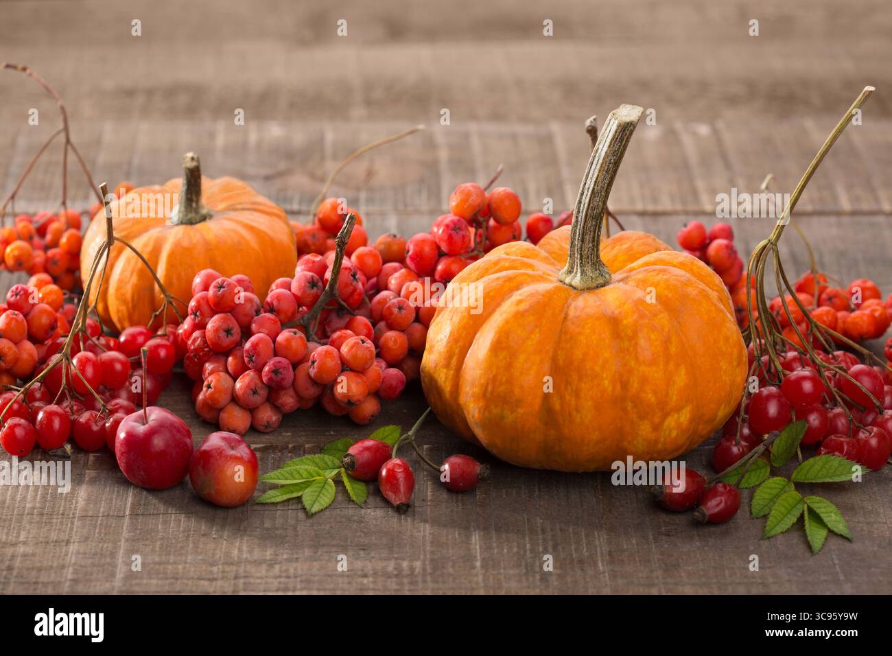 Zucche, grappoli di bacche di Viburnum, bacche di Rosehip, grappoli di Sorbus e mele molto piccole su un vecchio tavolo di legno. Foto Stock