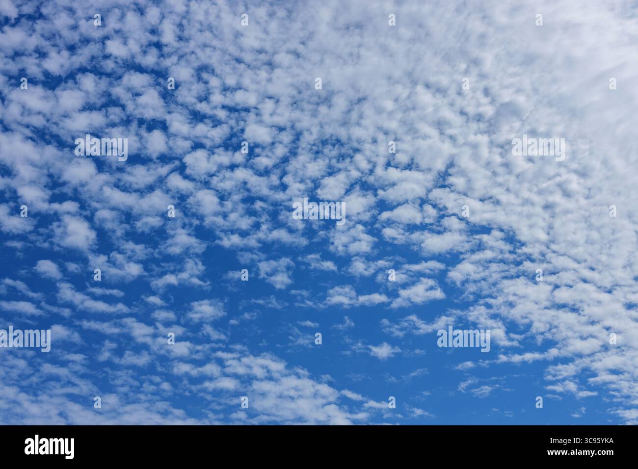 Nuvole bianche sparse in un cielo blu brillante Foto Stock