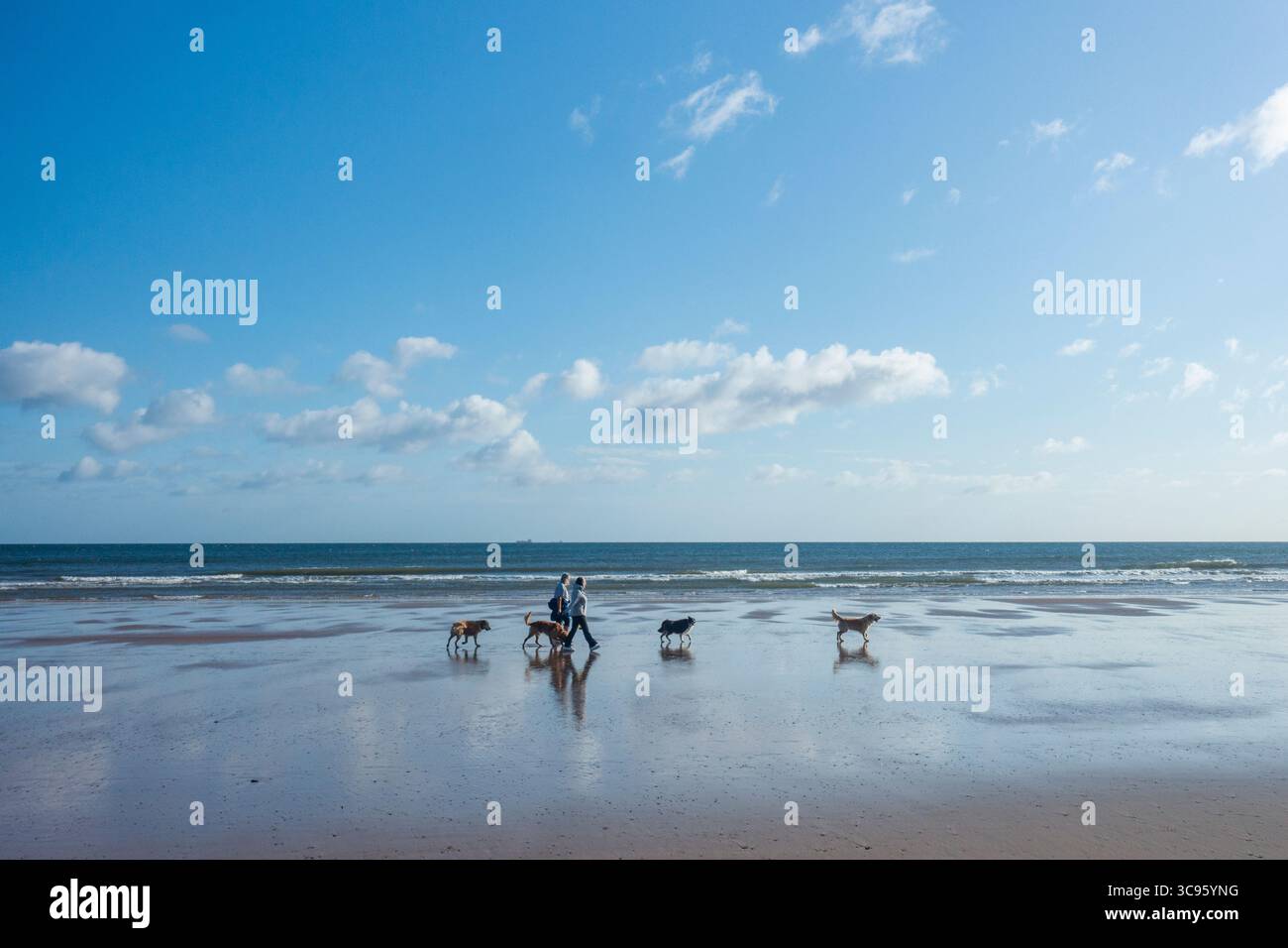 Saltburn vicino al mare, North Yorkshire, Inghilterra. REGNO UNITO. 5 agosto 2025. Meteo: Una mattinata luminosa e ventosa sulla scia della tempesta floris a Saltburn, sulla costa del North Yorkshire. Crediti: Alan Dawson/Alamy Live News Foto Stock