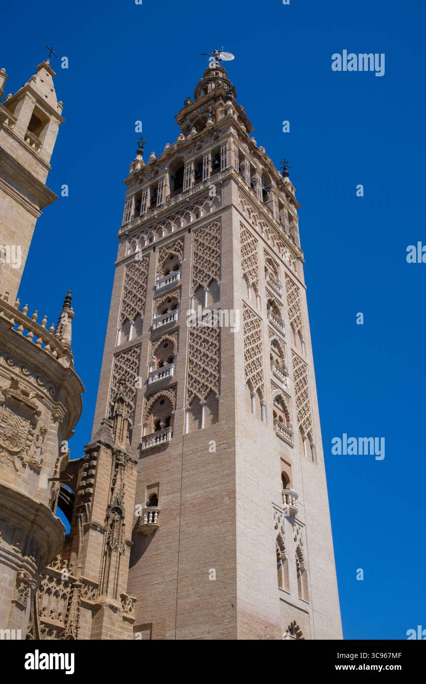 Spagna: La Giralda, il campanile della Cattedrale di Siviglia (Cattedrale di Santa Maria della sede), Siviglia. La torre era originariamente un minareto per la grande Moschea di Siviglia. La cattedrale di Santa Maria della sede (Catedral de Sevilla) è un sito patrimonio dell'umanità dell'UNESCO. E' la più grande cattedrale gotica del mondo. Foto Stock