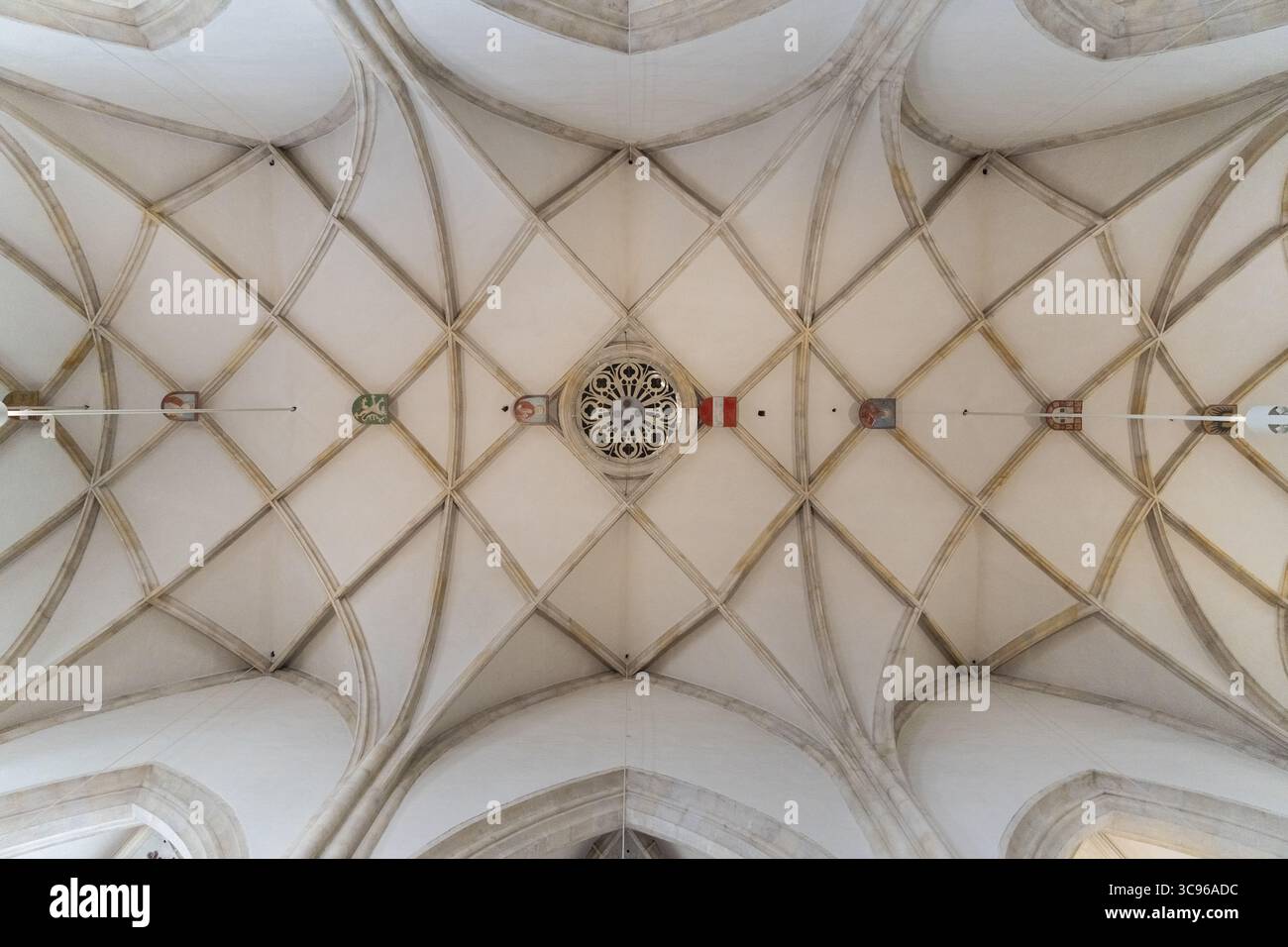 Vista di un soffitto ornato con motivi a diamante e una rosetta centrale, una sinfonia di precisione architettonica nella cattedrale di graz, Graz, Steiermark, Austria. Foto Stock