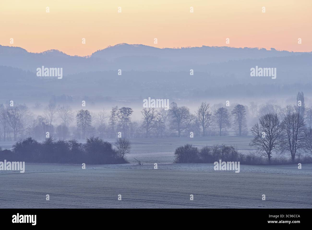 Prati e alberi nella nebbia di prima mattina alla luce dell’alba, Reusstal, Aristau, Freiamt, Canton Argovia, Svizzera Foto Stock