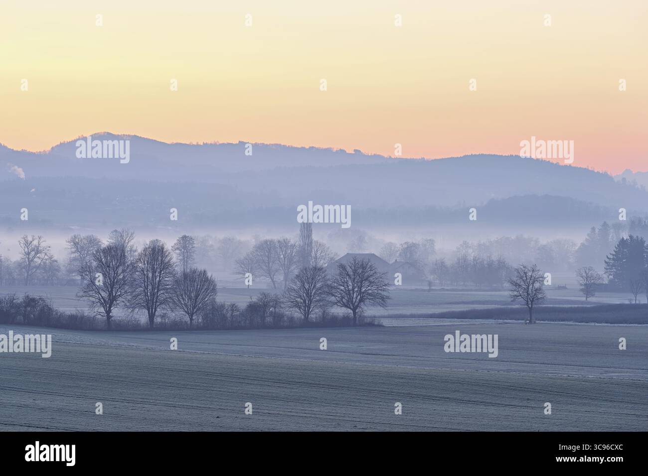 Prati e alberi nella nebbia di prima mattina alla luce dell’alba, Reusstal, Aristau, Freiamt, Canton Argovia, Svizzera Foto Stock