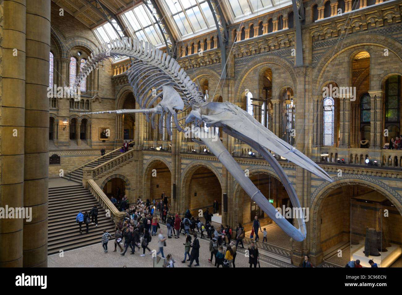 Londra, Inghilterra - novembre 27. 2019: I visitatori esplorano la splendida architettura e le mostre del Museo di storia naturale di Londra Foto Stock