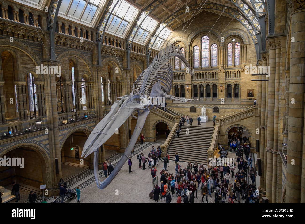 Londra, Inghilterra - novembre 27. 2019: I visitatori esplorano la splendida architettura e le mostre del Museo di storia naturale di Londra Foto Stock