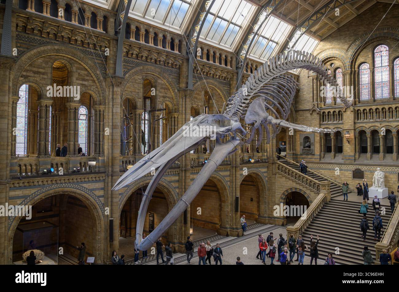 Londra, Inghilterra - novembre 27. 2019: I visitatori esplorano la splendida architettura e le mostre del Museo di storia naturale di Londra Foto Stock