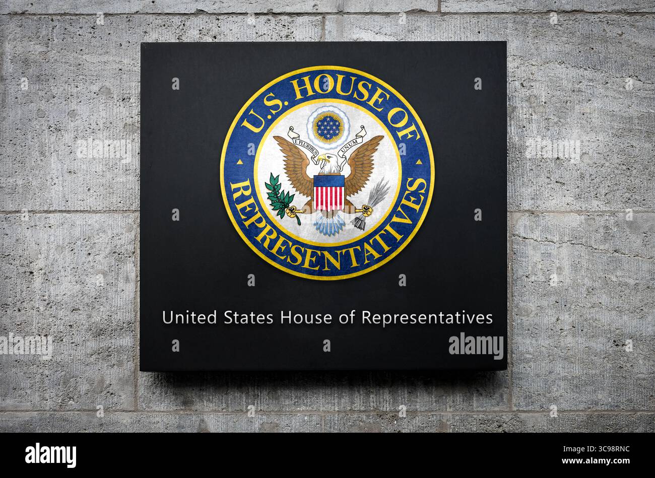 Camera dei rappresentanti - dibattiti, decisioni e legislazione Foto Stock