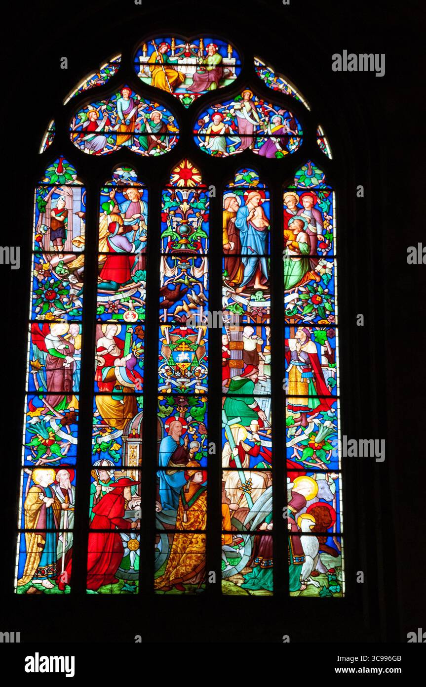 Dettaglio di una vetrata colorata nella Cattedrale di Saint Sauveur. AIX-en-Provence. Francia Foto Stock