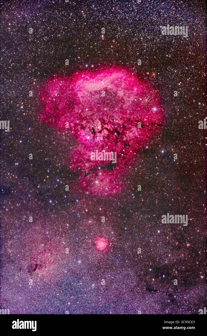 22 settembre 2022, Alberta, Canada: Questo è il complesso della nebulosità che è diventato noto come Cosmic Question Mark, un buon nome in quanto le sue denominazioni ufficiali sono confuse. ..l'arco superiore è solitamente etichettato come NGC 7822 e la regione centrale come Cederblad (CED) 214. Tuttavia, alcuni grafici e riferimenti etichettano Ced214 come NGC 7822, in quanto è più luminoso e potrebbe essere stato l'oggetto che William Herschel vide quando raccolse osservazioni nel XVIII secolo per il suo General Catalogue, in cui descrive NGC 7822 come "EEF! E anguilla!", che significa davvero molto debole e grande! Il piccolo "punto" della missione Foto Stock