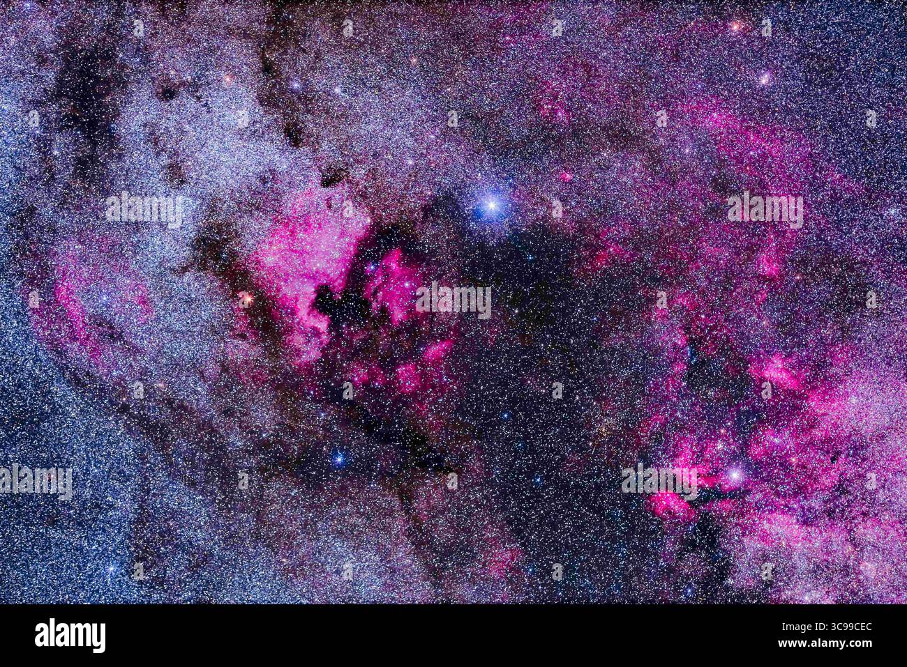 20 settembre 2022, Alberta, Canada: Il principale complesso di nebulosità a Cygnus, scattato con un teleobiettivo che si estende su un ampio campo di 15Â per 10Â. ..a sinistra c'è la nebulosa più luminosa della regione, NGC 7000, o la nebulosa del Nord America, a sinistra della stella blu brillante Deneb. Tra Deneb e il Nord America c'è la nebulosa Pelicana, IC 5067. In basso a destra si trova il complesso intorno a gamma Cygni catalogato come IC 1318. Ma ci sono molti altri archi e patch di nebulosità qui, come Sharpless 2-119 all'estrema sinistra e Sharpless 2-115 in alto. La piccola Nebulosa a mezzaluna, NGC 6888, è appena in cornice a lo Foto Stock
