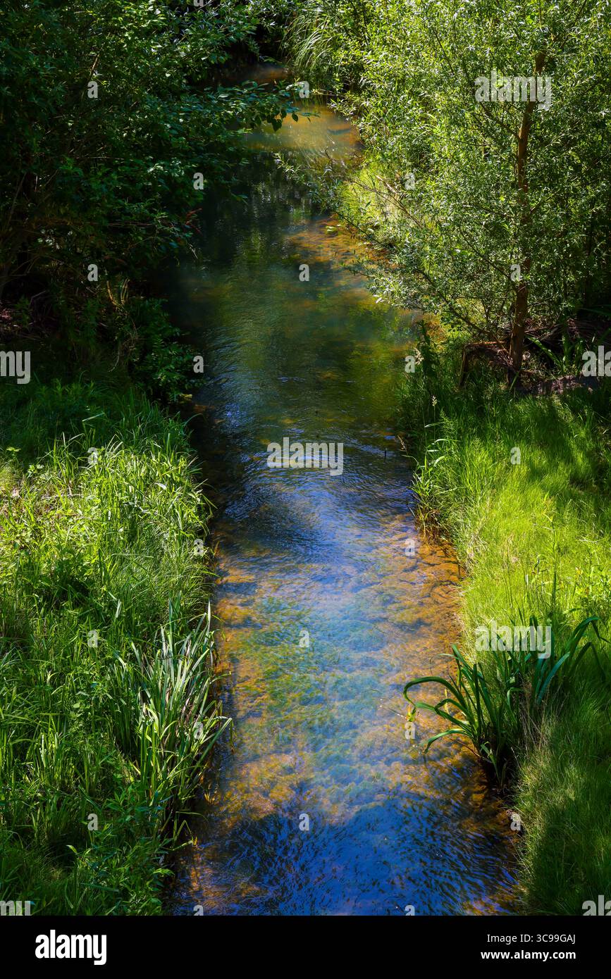 Recklinghausen, Renania settentrionale-Vestfalia, Germania – Renatured Hellbach, corso d’acqua rinaturato, Hellbach è ora privo di acque reflue seguendo il costruttivo Foto Stock