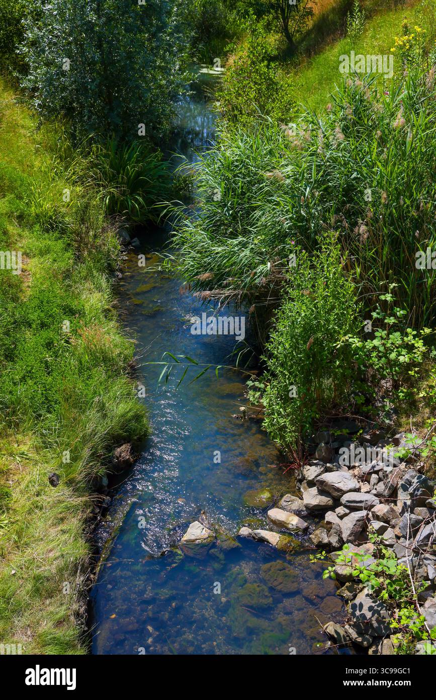 Recklinghausen, Renania settentrionale-Vestfalia, Germania – Renatured Hellbach, corso d’acqua rinaturato, Hellbach è ora privo di acque reflue seguendo il costruttivo Foto Stock