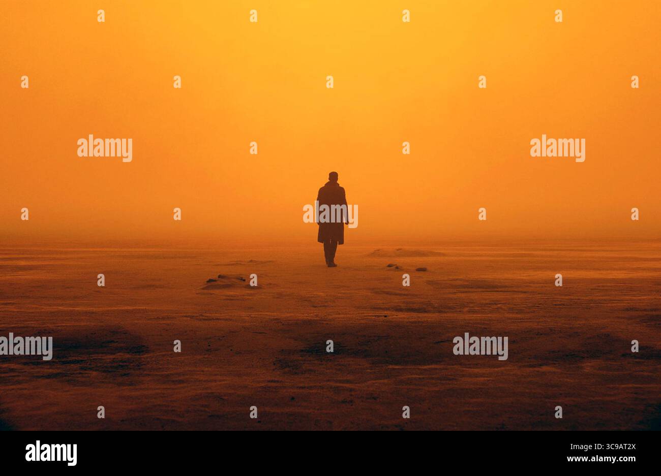 Blade Runner 2049 è un film di fantascienza neo-noir del 2017 diretto da Denis Villeneuve, tratto da una sceneggiatura di Hampton Fancher e Michael Green, basato su una storia di Fancher. Sequel di Blade Runner (1982), il film vede protagonisti Ryan Gosling e Harrison Ford, con Ana de Armas, Sylvia Hoeks, Robin Wright, Mackenzie Davis, Dave Bautista, e Jared Leto nei ruoli di supporto. Ford e Edward James Olmos riprendono i loro ruoli dal film precedente, rispettivamente come Rick Deckard e Gaff. Foto Stock