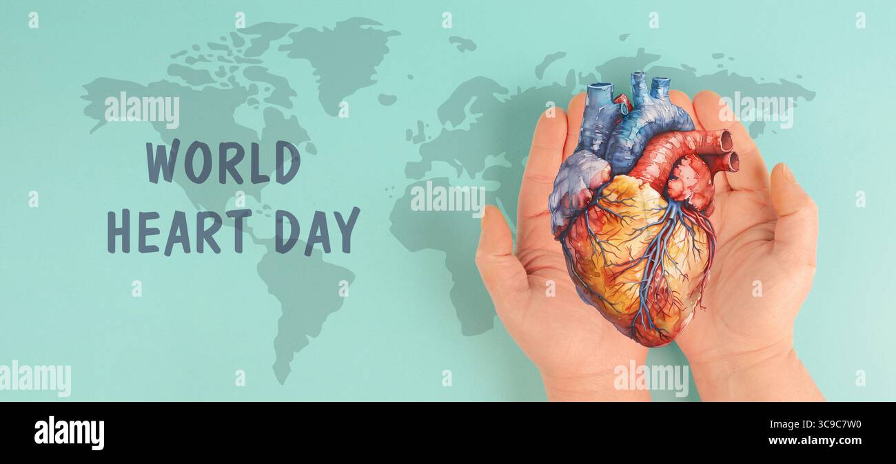 Infarto, malattia della miocardite, infiammazione del muscolo, trombosi e stress cardiaco, mani che tengono l'organo umano Foto Stock