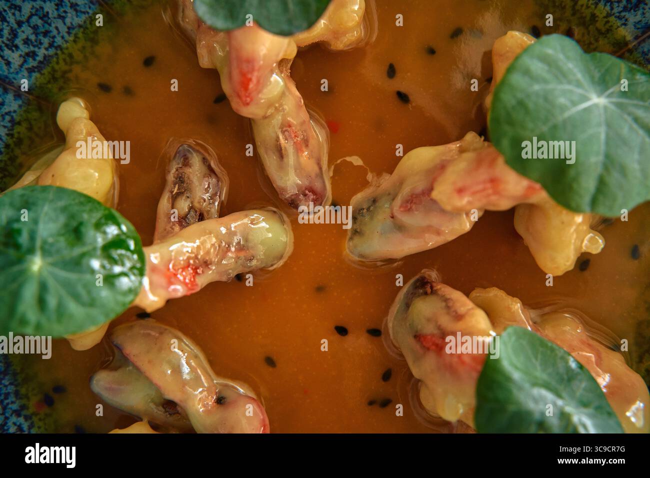 Una vibrante fusione di texture e sapori che propone delizie culinarie uniche con erbe fresche e ingredienti distintivi Foto Stock