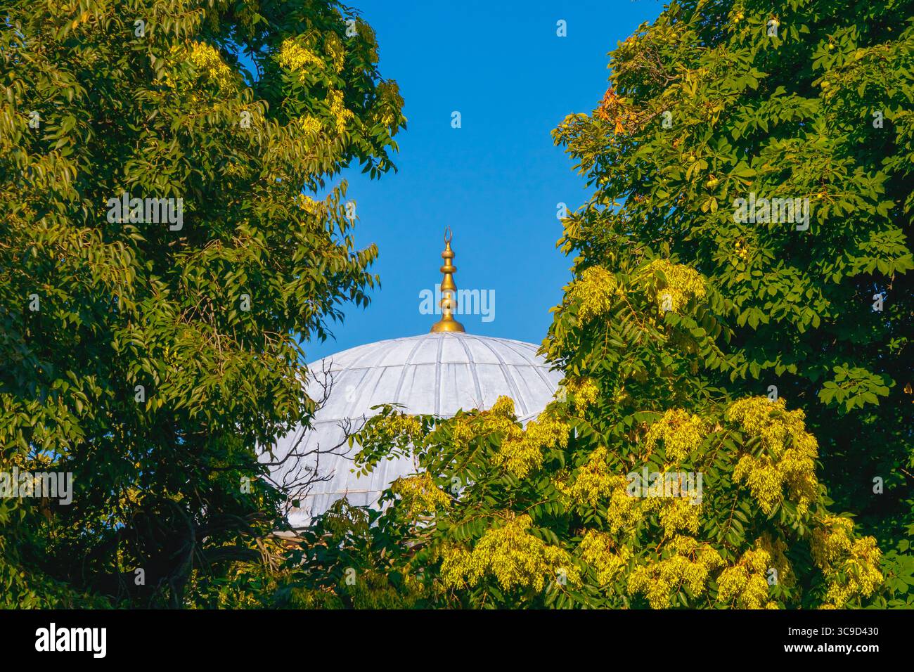 Un'immagine vibrante di una cupola moschea con una finitura dorata che emerge tra alberi riccamente verdi e fiori gialli in fiore sotto un cielo blu. Foto Stock