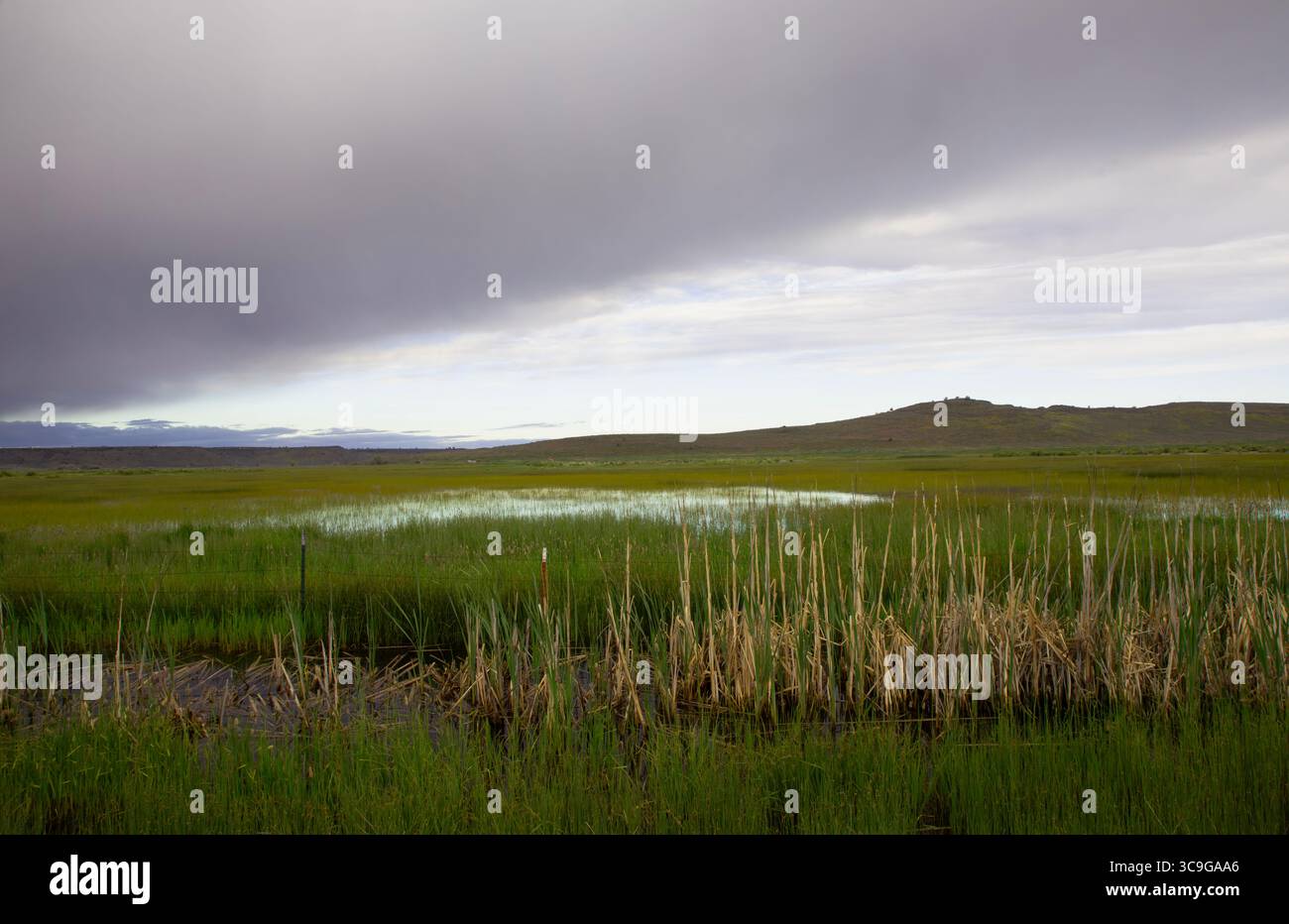 Paesaggio di paludi, campo e cielo grigio di rustiche strade agricole a Burns, Oregon orientale, Stati Uniti, vicino al Malheur National Wildlife Refuge Foto Stock