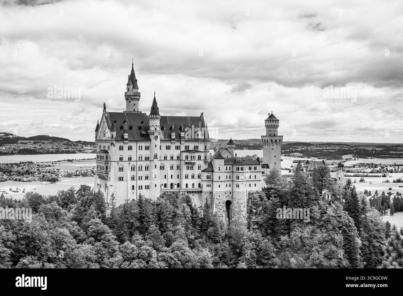 Il castello di Neuschwanstein si erge orgogliosamente tra lussureggianti foreste verdi in Baviera, Germania. Questo castello da favola affascina i visitatori con la sua architettura fantasiosa e le viste mozzafiato del paesaggio. Foto Stock