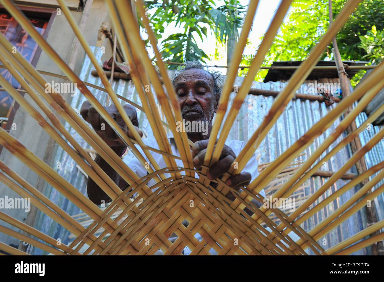 25 novembre 2022: 26 novembre 2022. Sylhet, Bangladesh: Moyna Biswas 80 anni, un'artista artigianale di canna da zucchero di Haripur, nell'area di Sylhet, sta tessendo un prodotto di canna nel suo cortile. Egli è certo che il suo erede non prenderà questo lavoro artigianale di canna da zucchero come professione, mentre i prodotti di plastica sono disponibili sul mercato a un prezzo inferiore a quello della canna da zucchero e peggiorano già il mercato. (Immagine di credito: © MD Rafayat Haque Khan/ZUMA Press Wire) Foto Stock