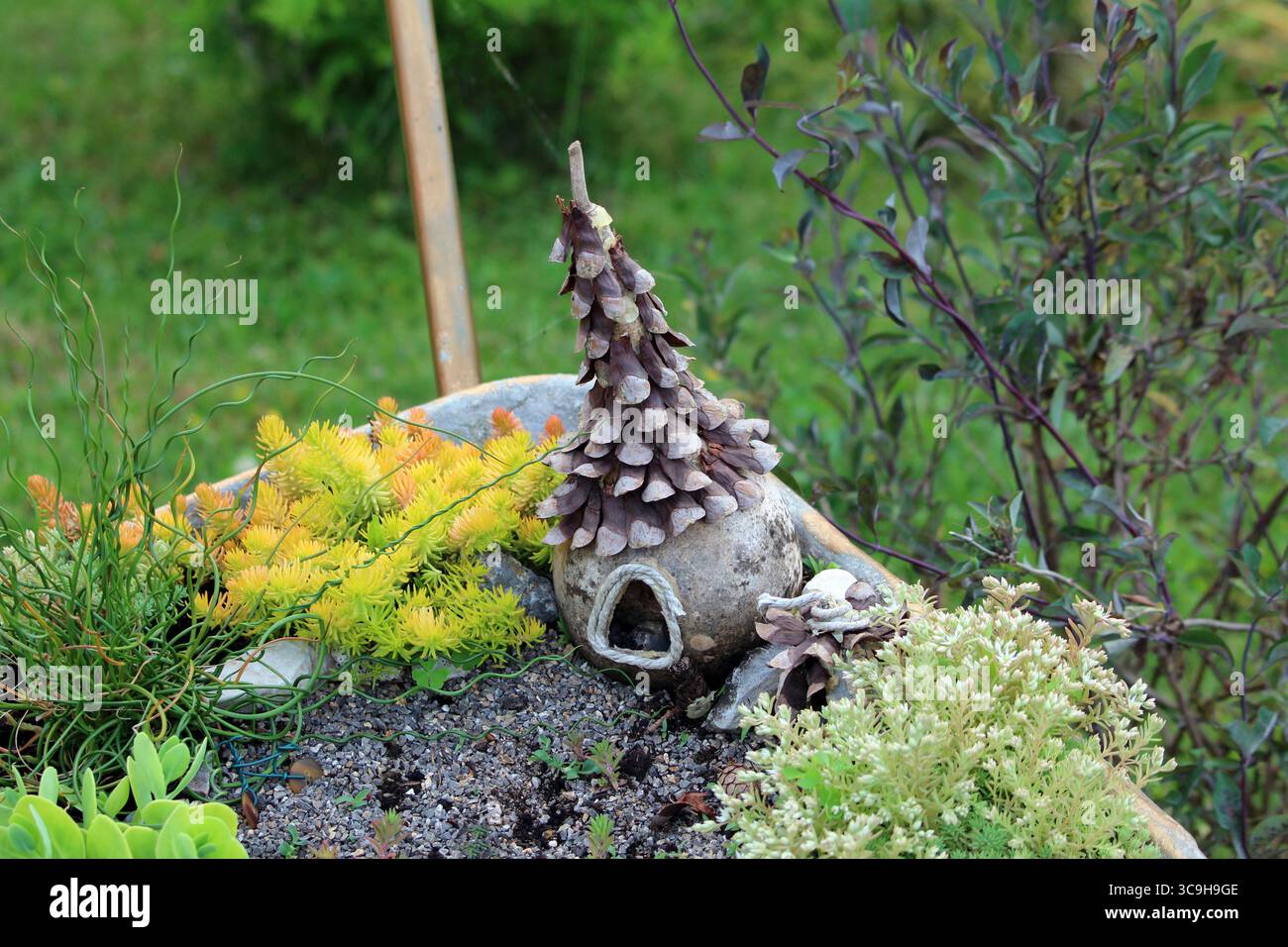 Una stravagante casa delle fate fatta di cono di pino si trova tra un sedum acro di pietra gialla, uno juncus effusus riccio e un fogliame verde in un lussureggiante piantagione Foto Stock