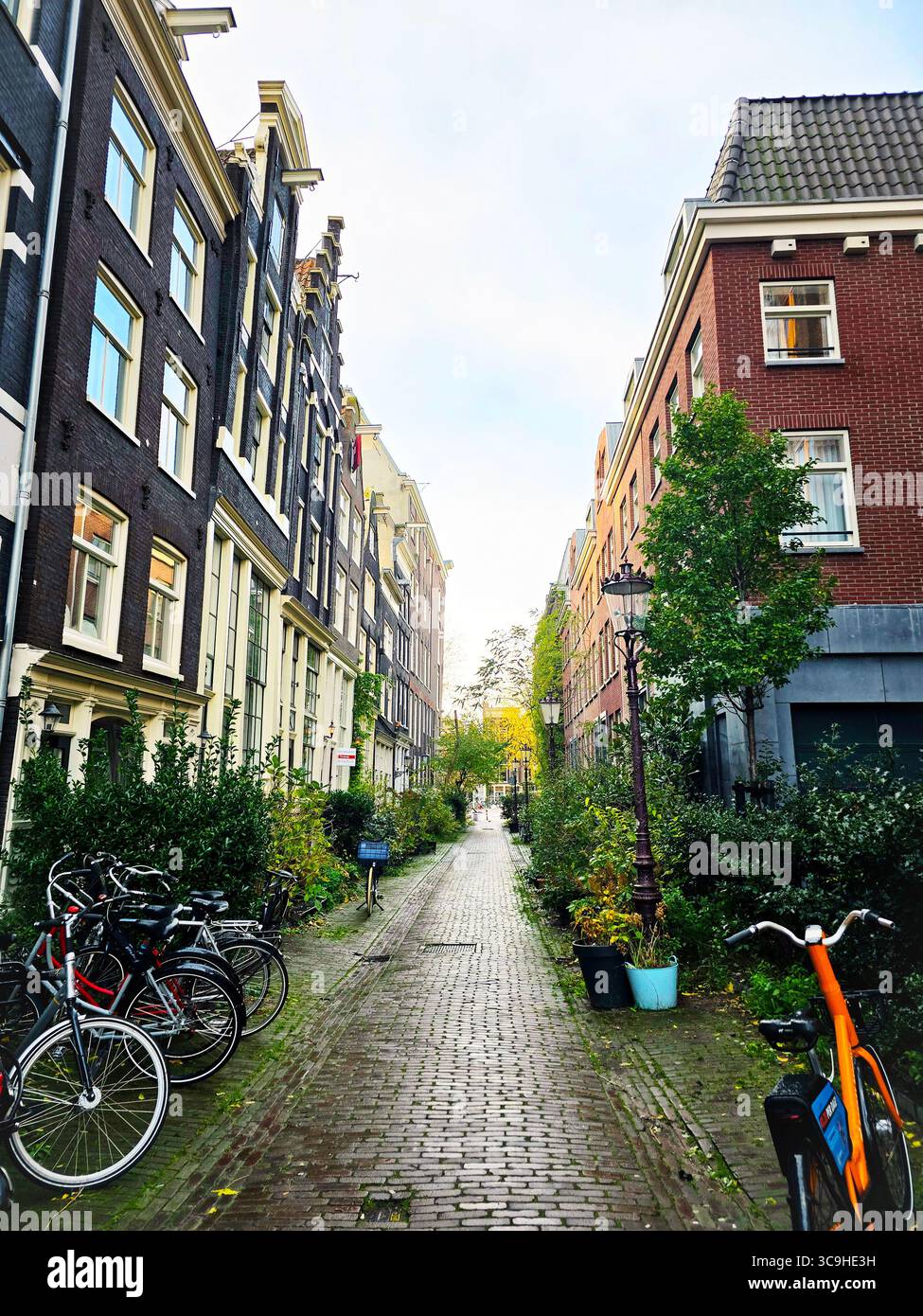 Una strada laterale nebbiosa nel quartiere Jordaan di Amsterdam, fiancheggiata da piante in vaso e classiche case olandesi. - Immagine stock catturata con smartphone