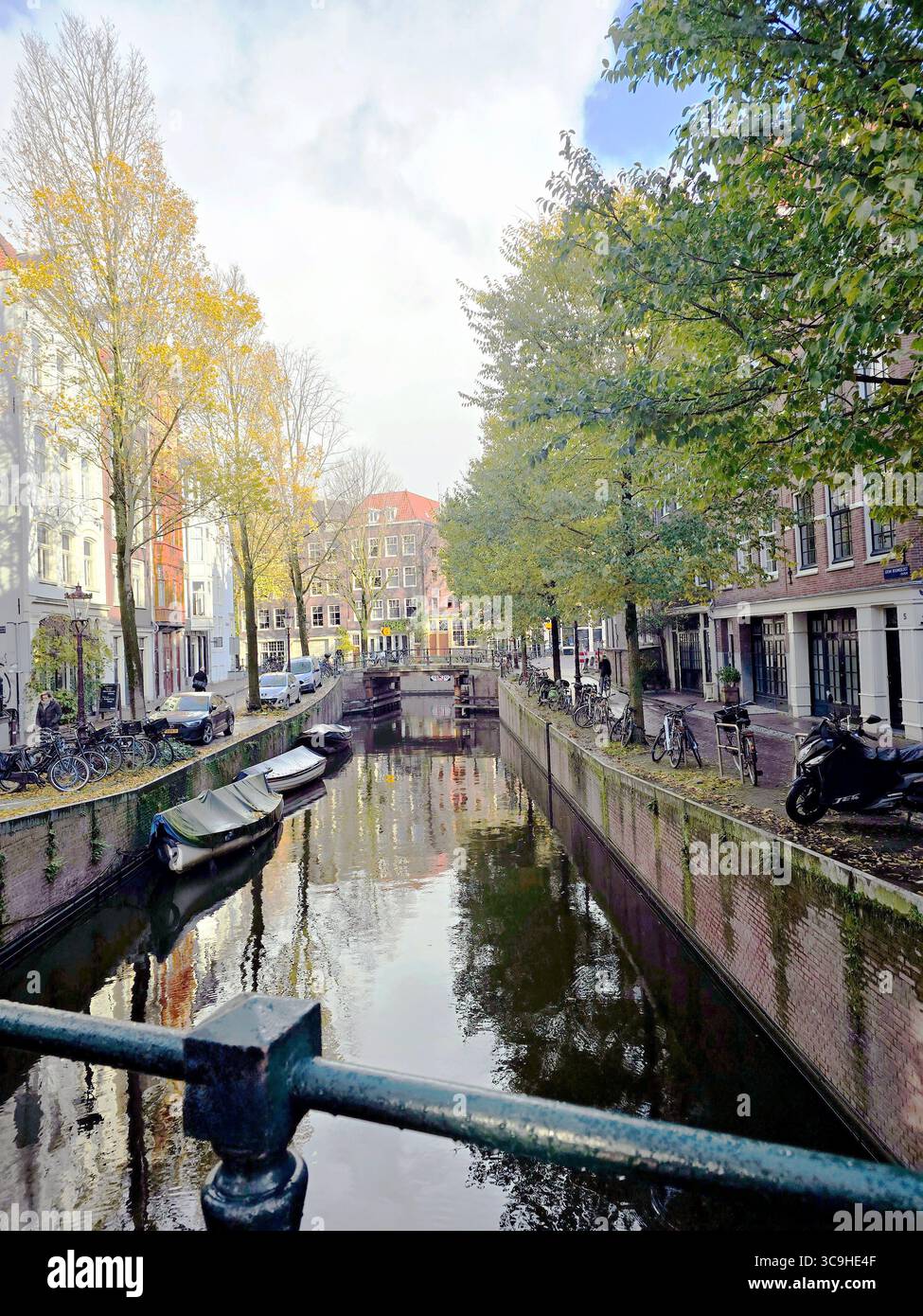 Alberi autunnali e riflessi sui canali lungo un tranquillo sentiero pedonale di Amsterdam in una mattinata nebbiosa. - Immagine stock catturata con smartphone