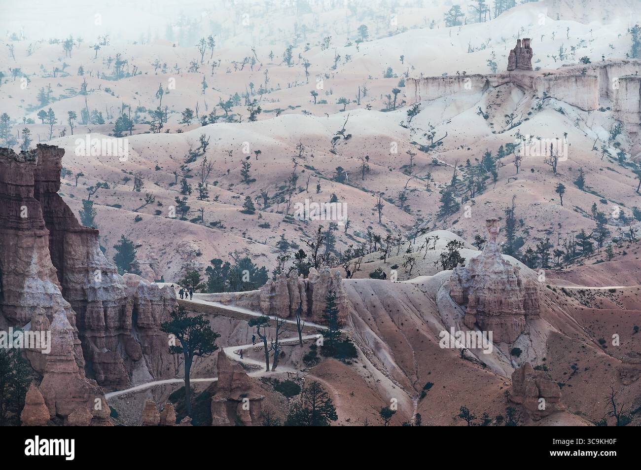 Gli escursionisti esplorano il tranquillo paesaggio del Bryce Canyon National Park, Utah. Il parco è noto per la sua geologia e l'esplorazione uniche. Foto Stock