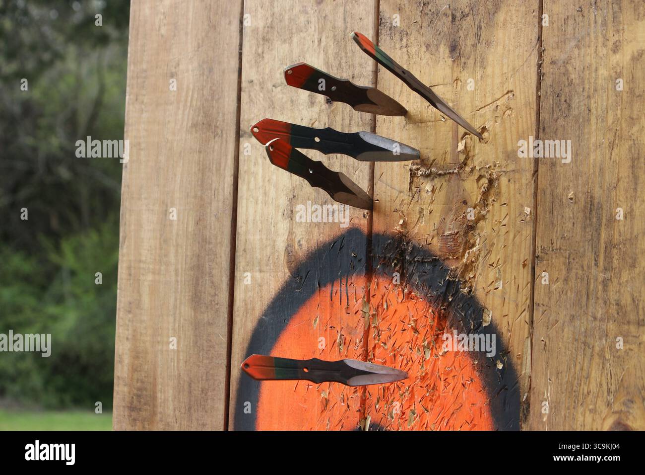 Coltelli lanciatori di metallo su una scheda target. Sport all'aperto e attività ricreative. Foto Stock