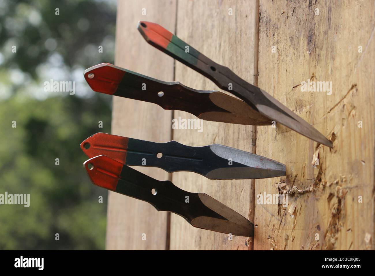 Coltelli lanciatori di metallo su una scheda target. Sport all'aperto e attività ricreative. Foto Stock