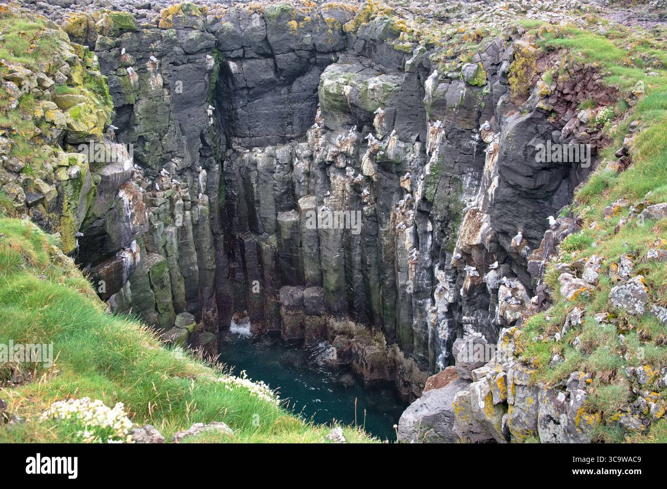 Profondo canyon con rocce basaltiche e acque cristalline Foto Stock