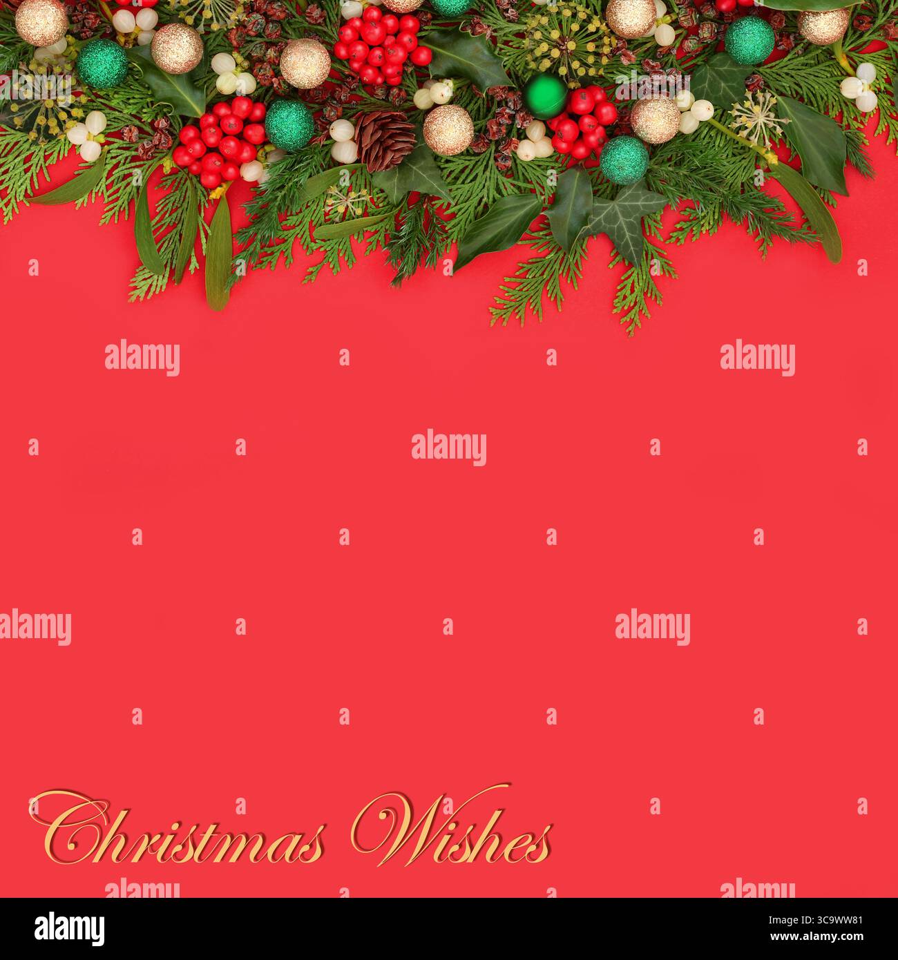 Auguri di Natale per l'inverno, bacca agrifoglio, vigna, edera, abete di cedro, pinecone, bordo di sfondo bauble. Design natalizio in rosso. Flora naturale Foto Stock