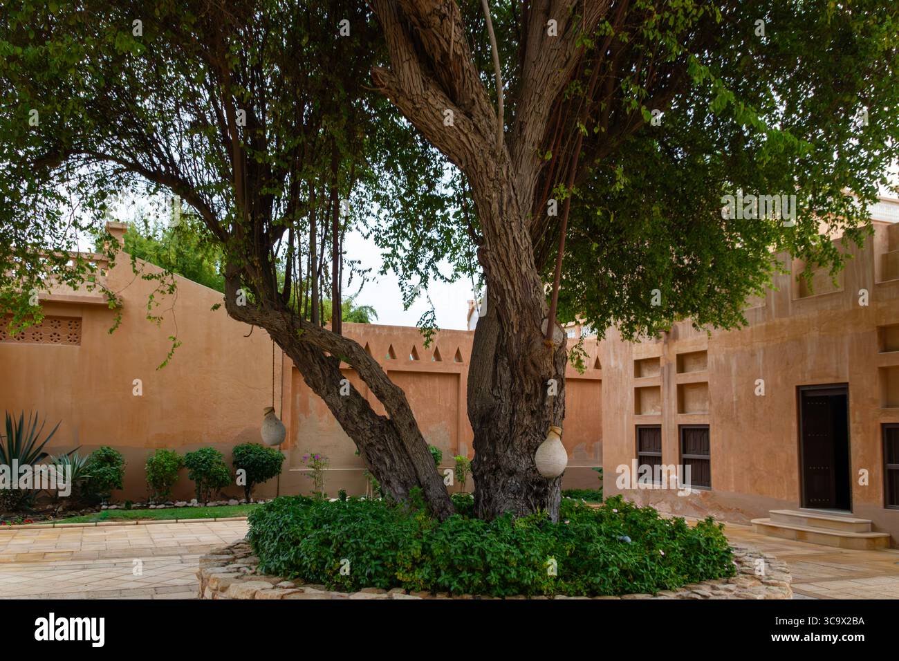 Courtyard Tree, Earthen Mura Foto Stock