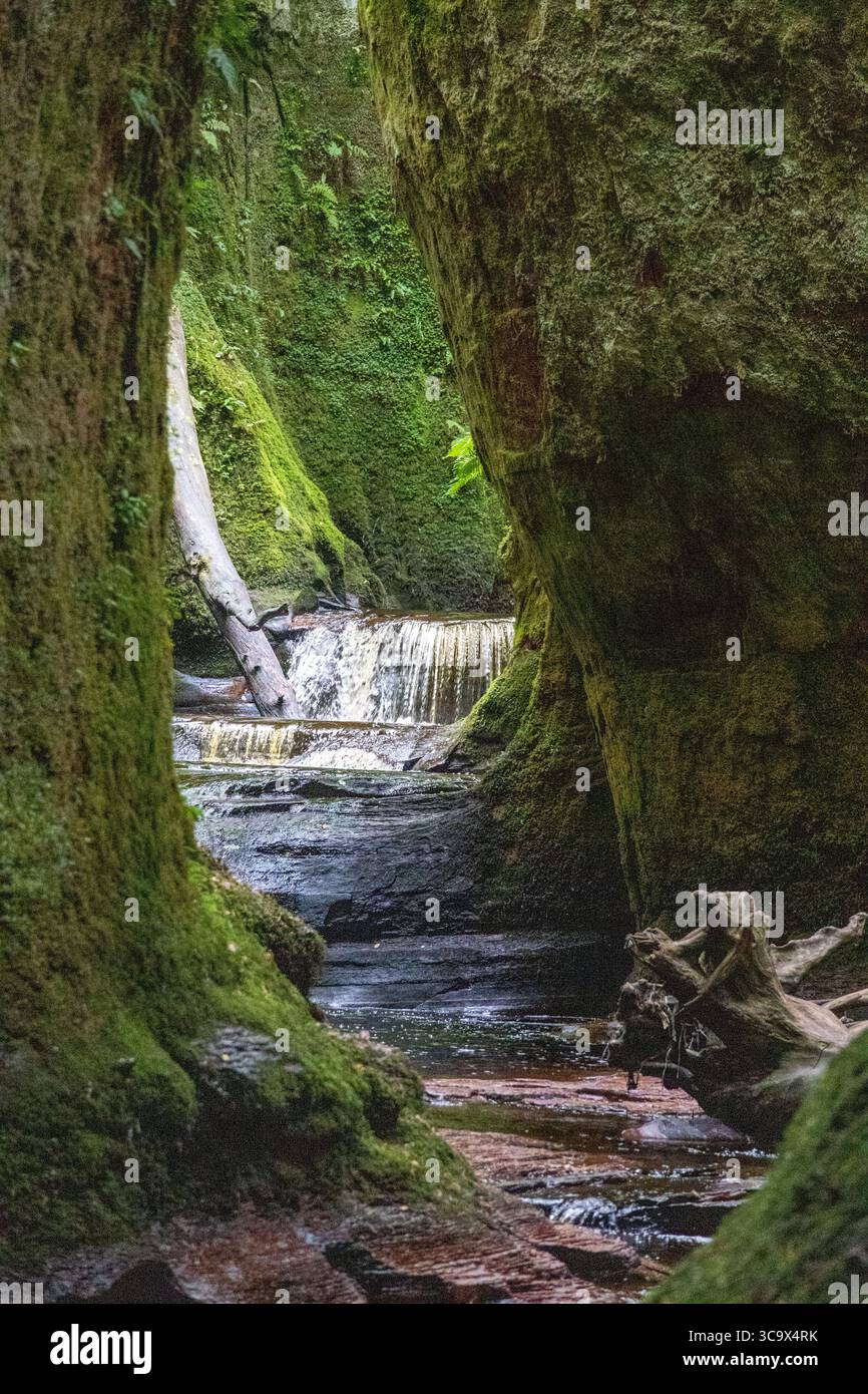 Una piccola cascata incorniciata da pareti rocciose del canyon in una lussureggiante foresta verde. Il tranquillo torrente scorre attraverso una gola nascosta, creando una magica e incontaminata Foto Stock